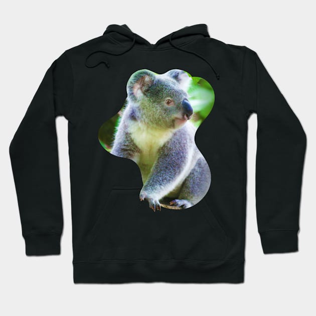 Koala climbing a tree Hoodie by Arteria6e9Vena